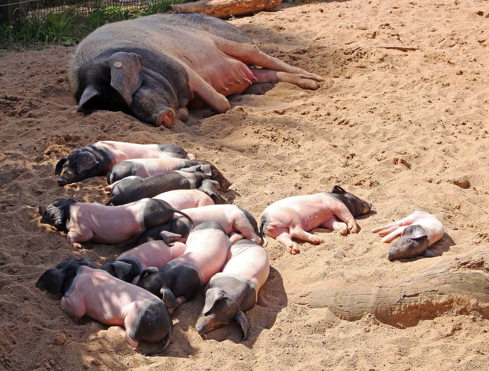 Фотография автора Александр