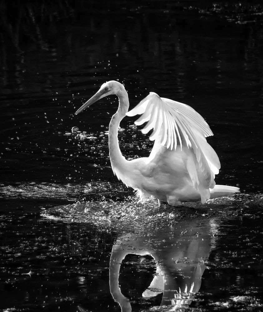 Водные процедуры