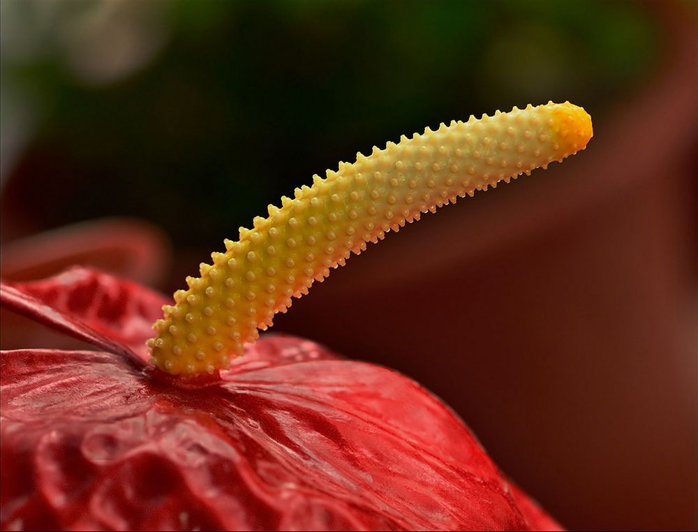 Photograph by Илфир Исламгазин