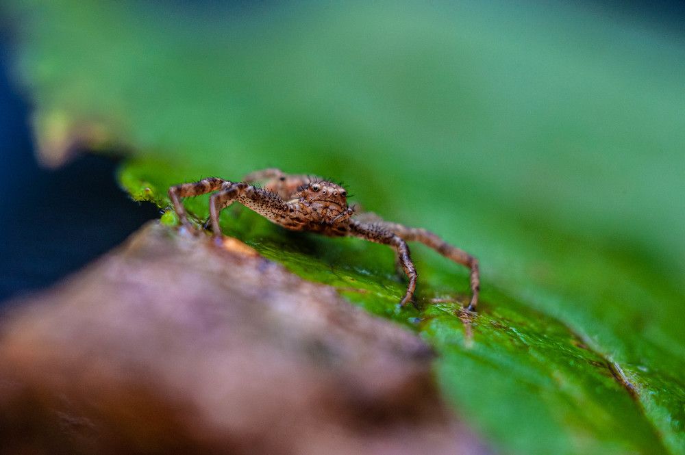 Photograph by Вадим Басов