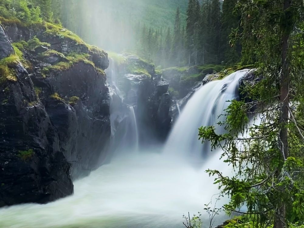 Photograph by Юлия Зырина