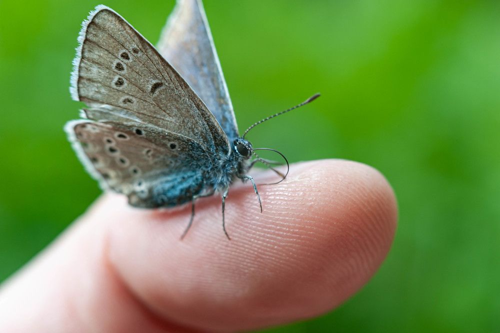 Photograph by Вадим Басов