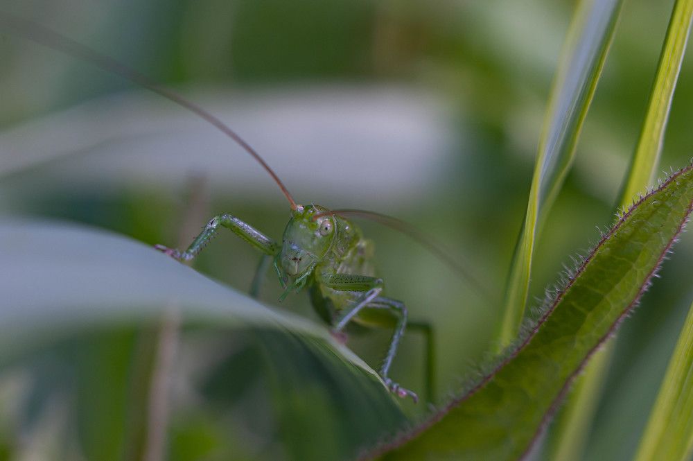 Photograph by Вадим Басов