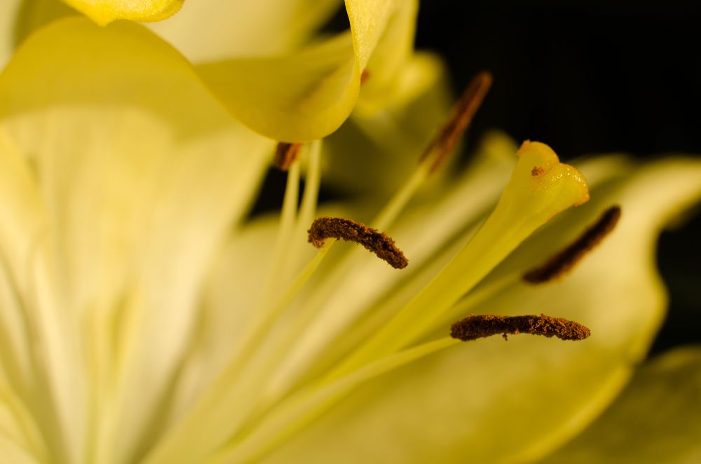 Photograph by Наталья Кокорина