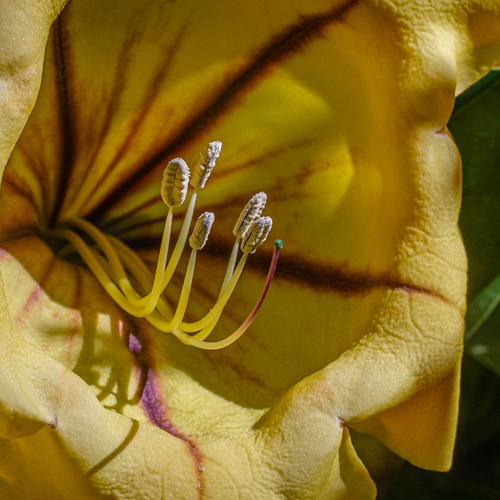 Photograph by Наталья Кокорина