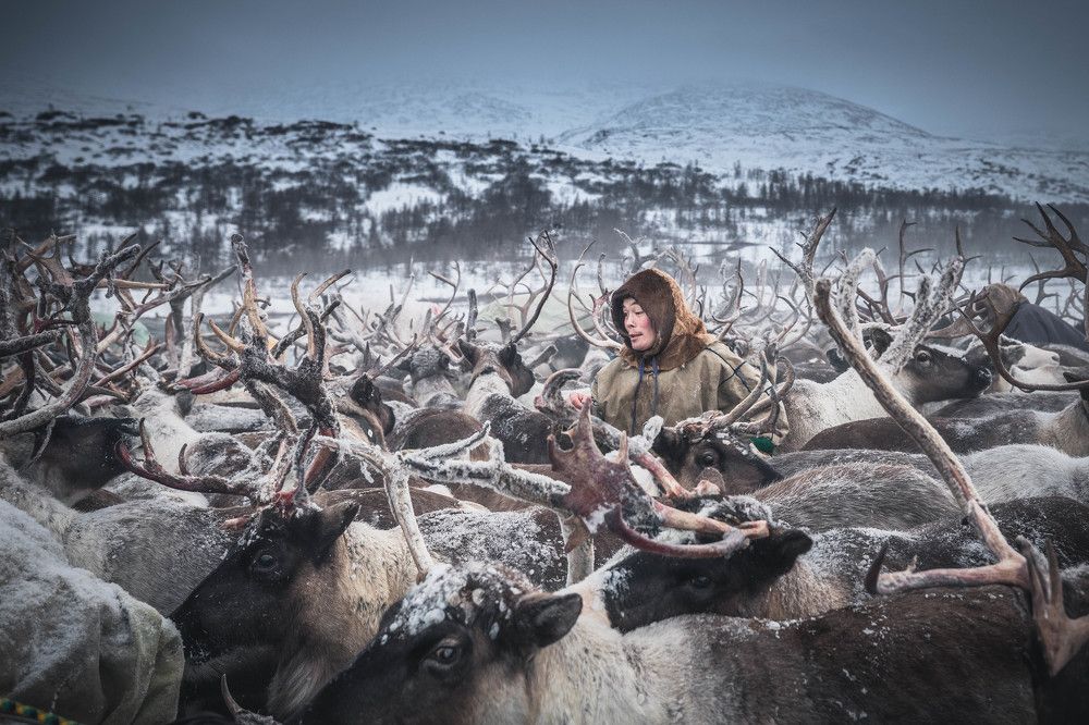 Photograph by Марина Маликова