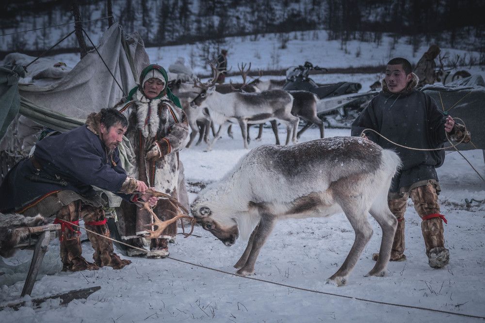 Photograph by Марина Маликова