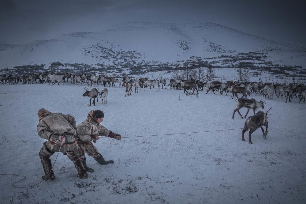 Photograph by Марина Маликова
