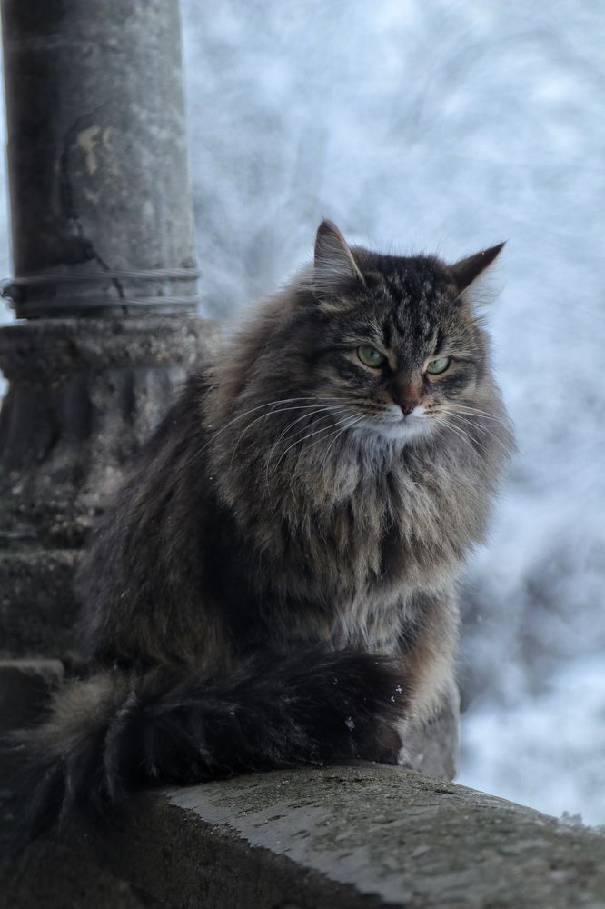 Photograph by Руслан Павлов