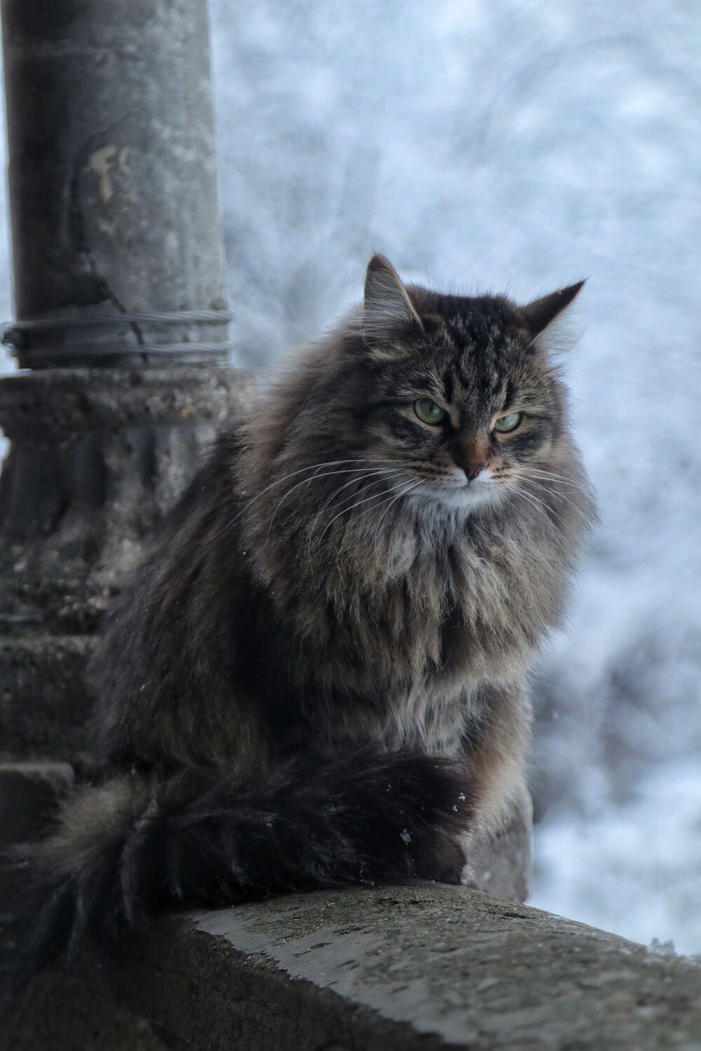 Photo #9528247