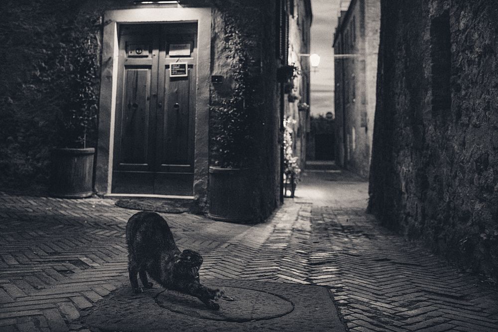 Photograph by Антон Ростовский