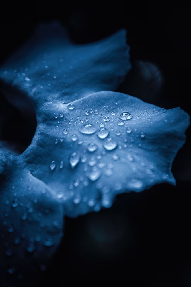 Photograph by Rodrigo Silveira