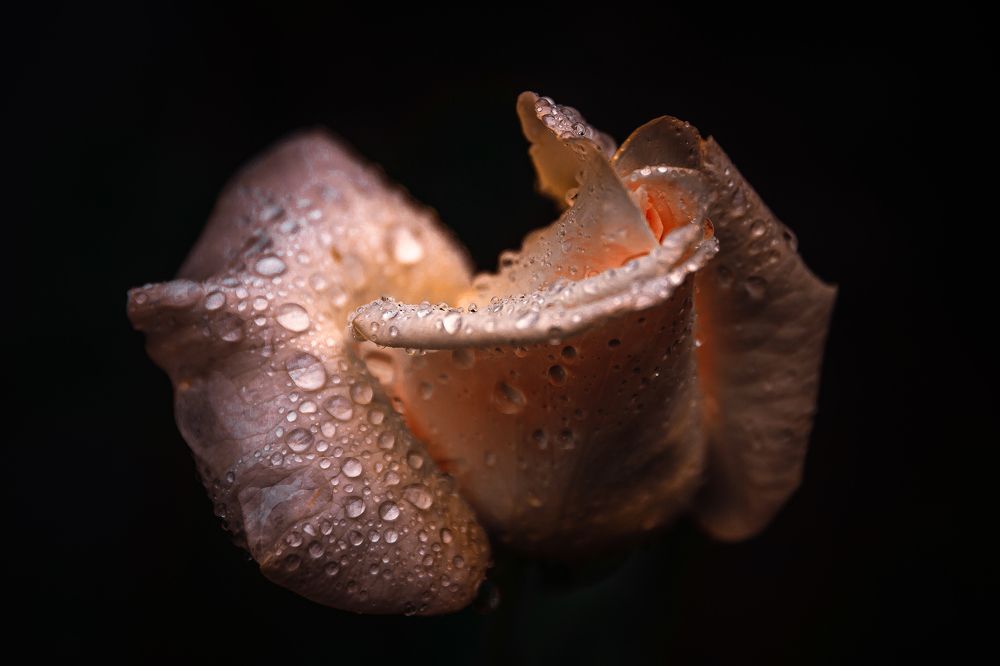 Photograph by Rodrigo Silveira