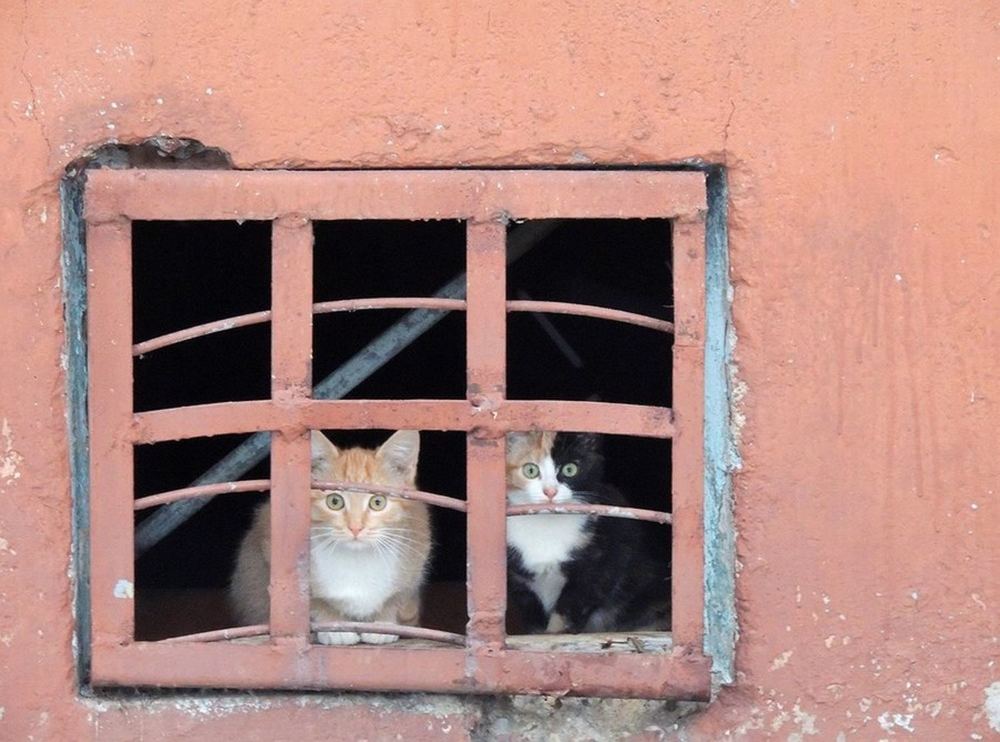 Photograph by Павел Васильев