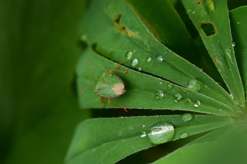 Photograph by Наталья Еременко