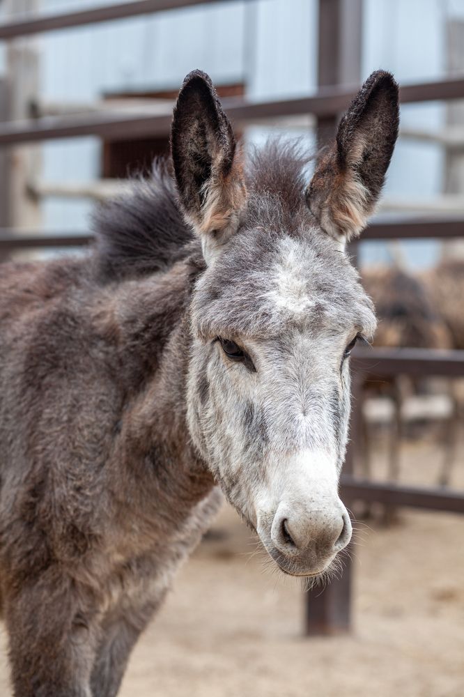 Photograph by Савицкий Анатолий