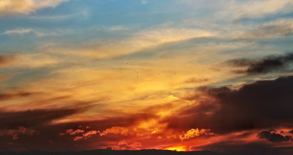 Photograph by Masoud Nikokalam