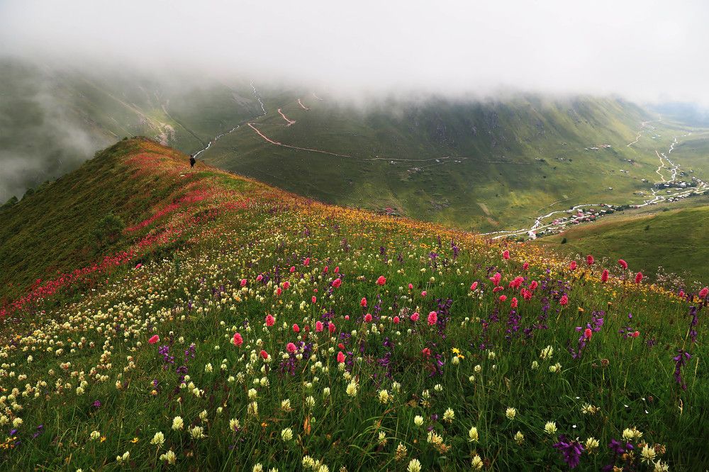 Photograph by Reis Turan