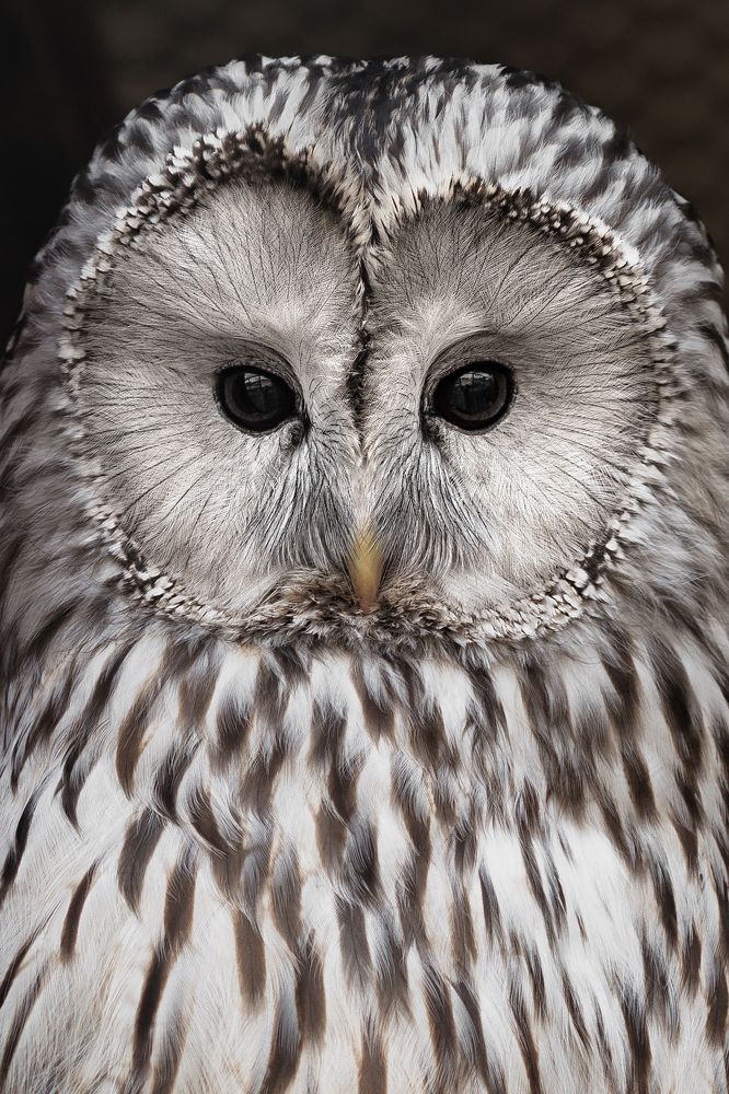 Photograph by Полина Хрол