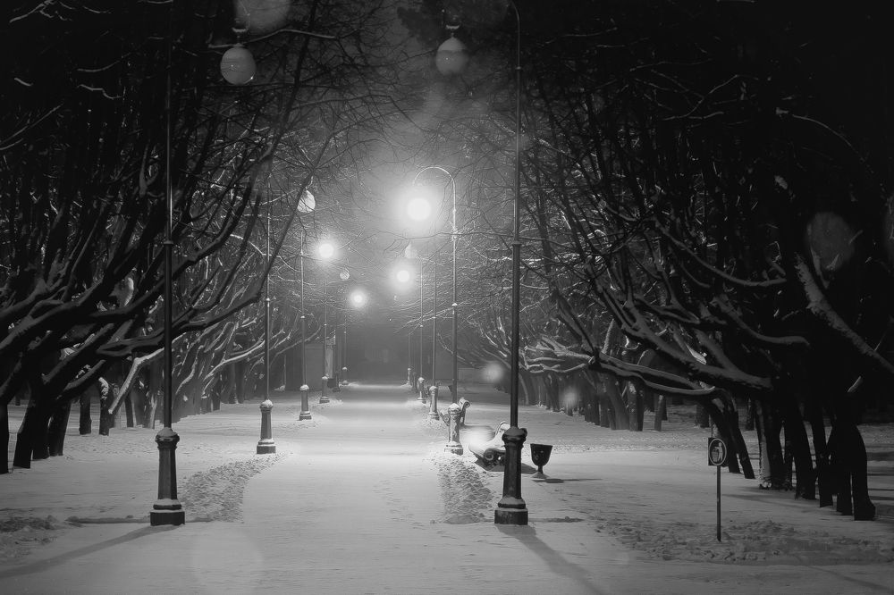 Photograph by Полина Хрол