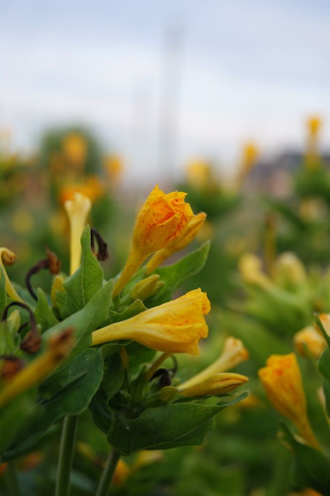 Photograph by s_nikitina2003