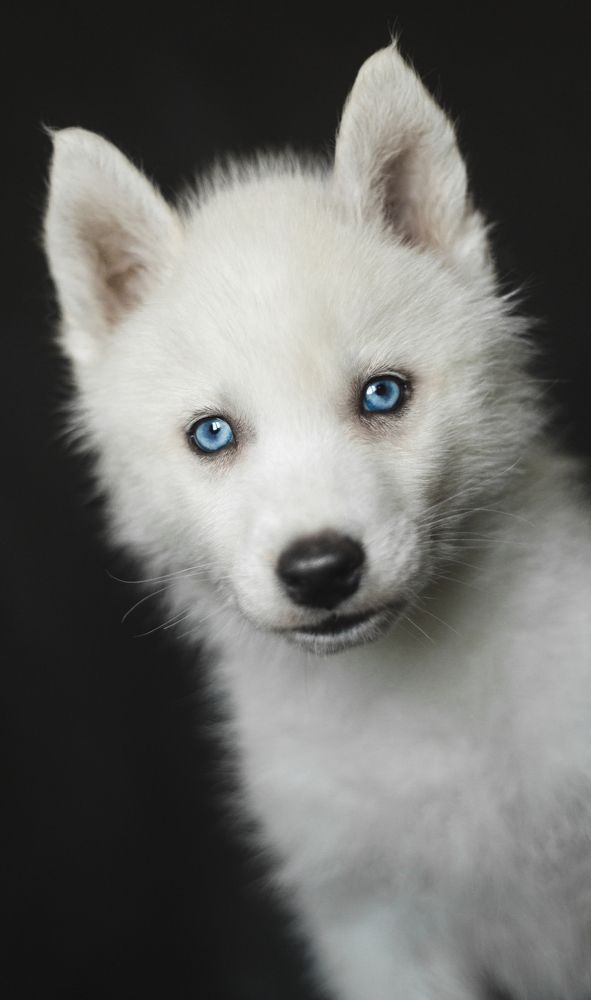 Photograph by Татьяна Степанова