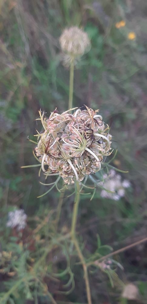 Photograph by Светлана Немонтова