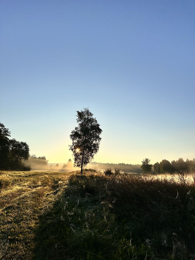 Photograph by Лариса Акинчиц