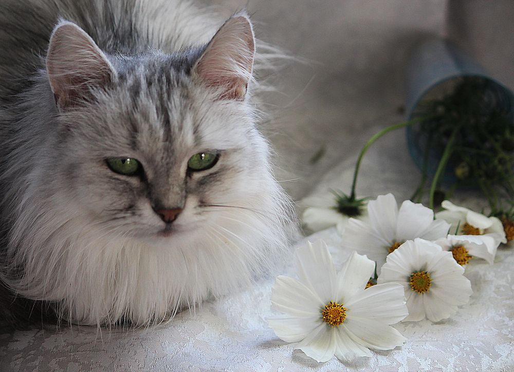 Photograph by Зоя Быкова