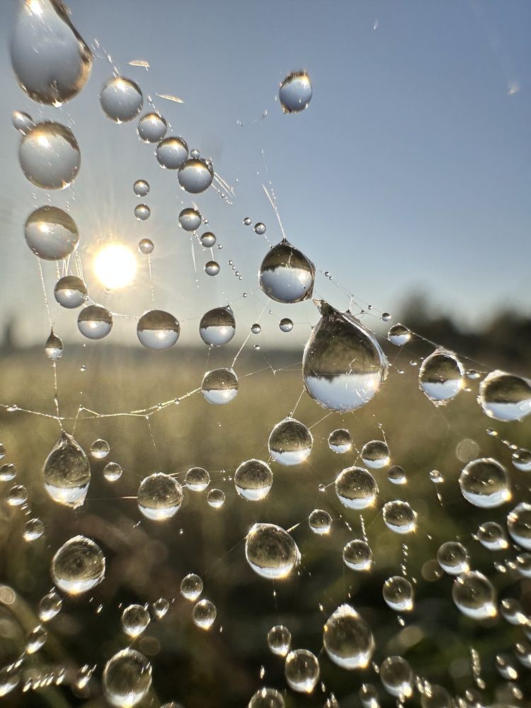 Photograph by Лариса Акинчиц