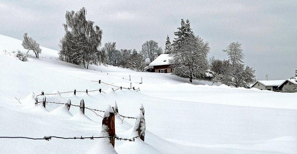 Фотография автора Александр