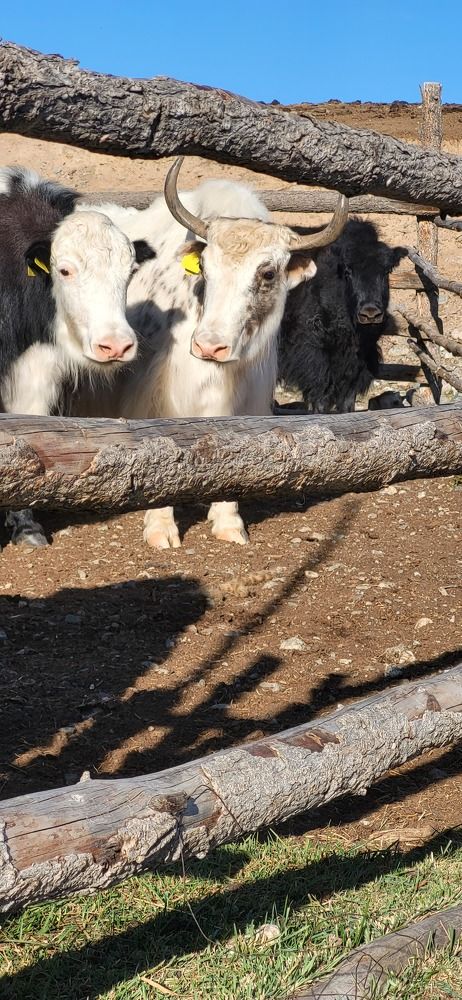 Photograph by Надежда Панкратова