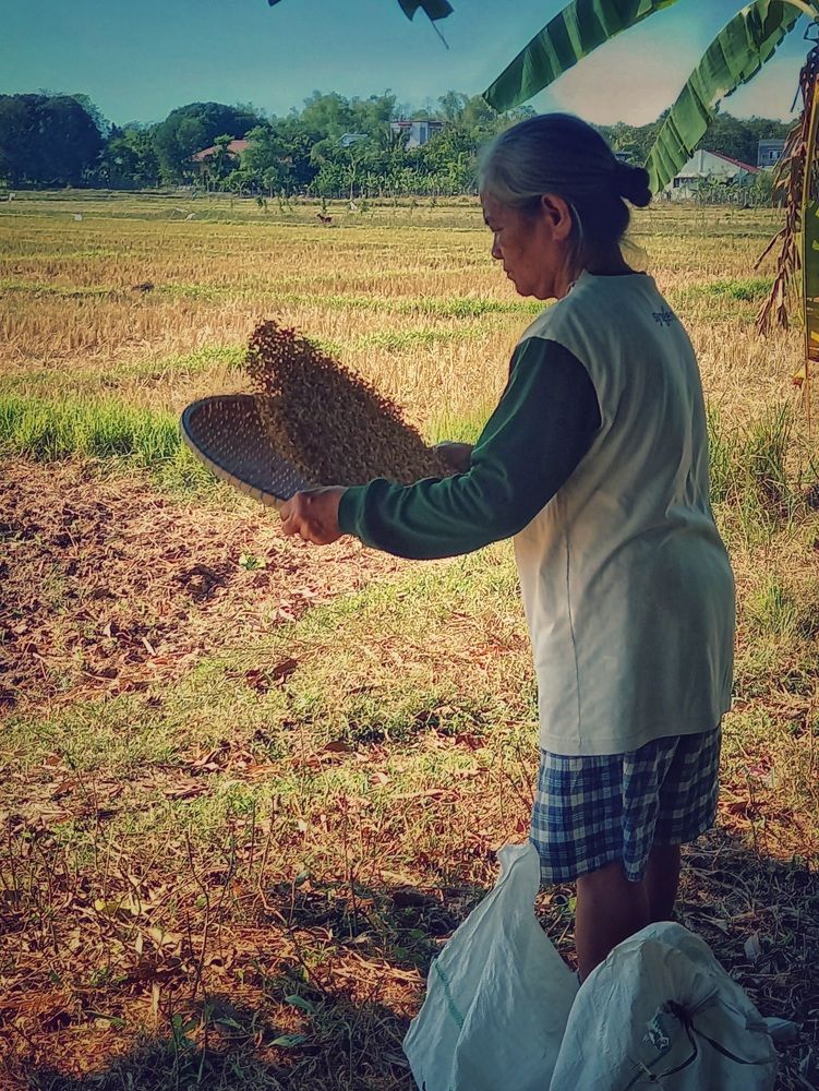 Hardwork?... Look at our farmers