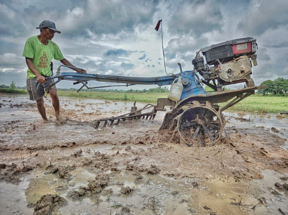 In dirt we grow our foods
