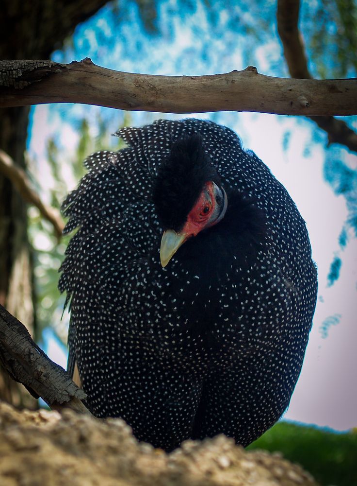 Photograph by Agita Leimane