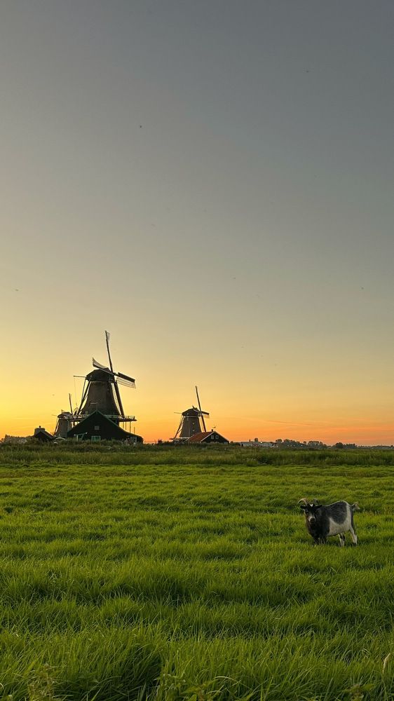 Photograph by Лидия