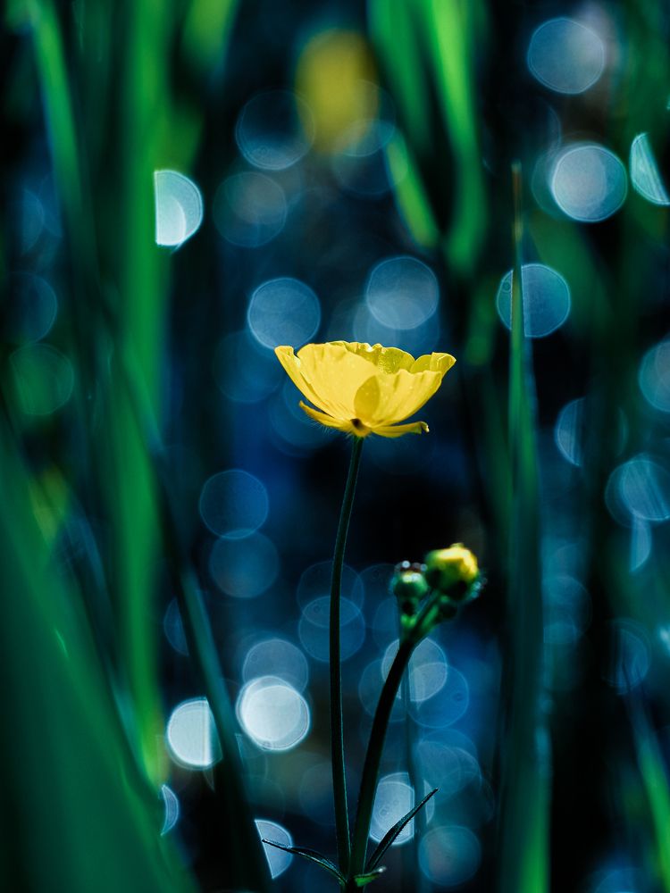 Photograph by Ирина Протченко