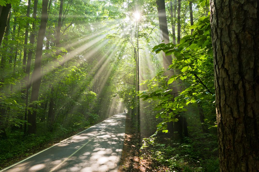 Photograph by Дегтярев Юрий