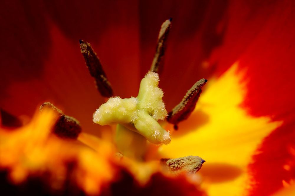 Photograph by Юрий Варюхин