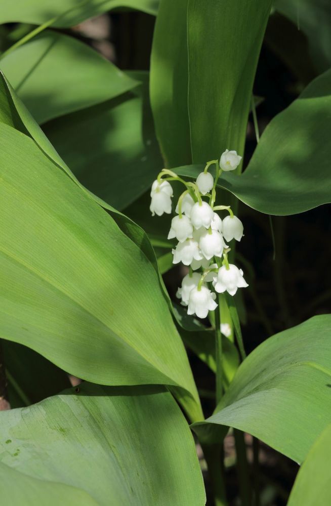 Photograph by Юрий Варюхин