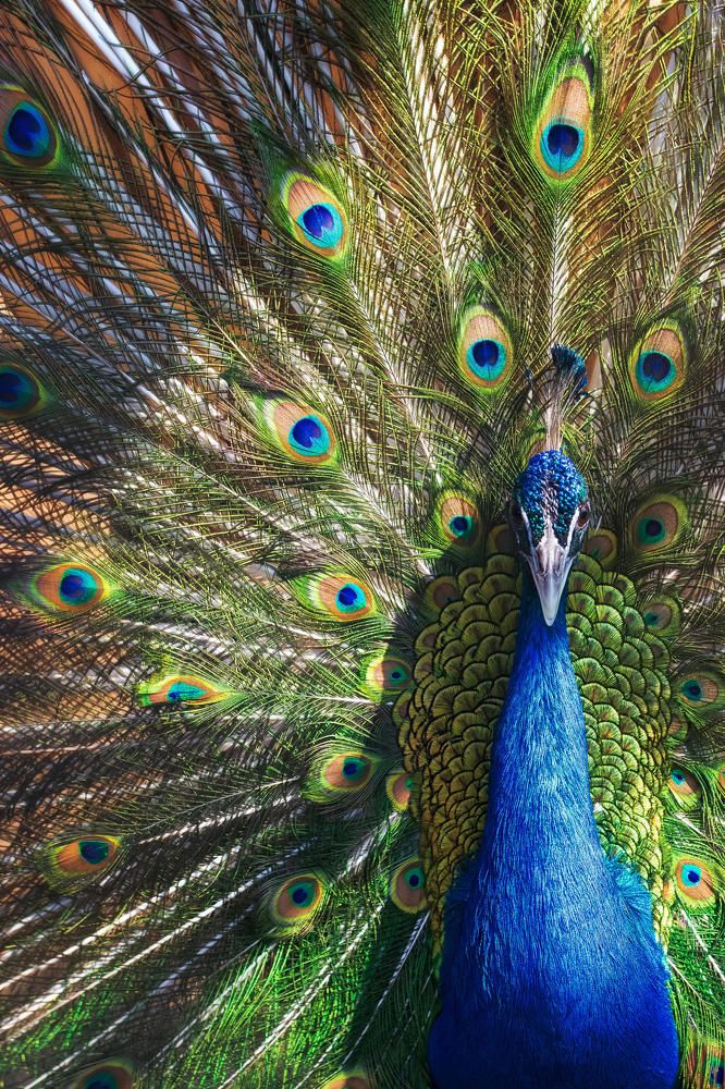 Photograph by Полина Хрол