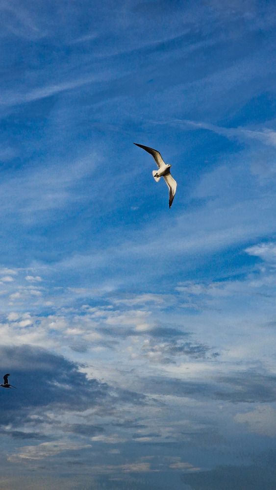 Photograph by Vera Vinogradova