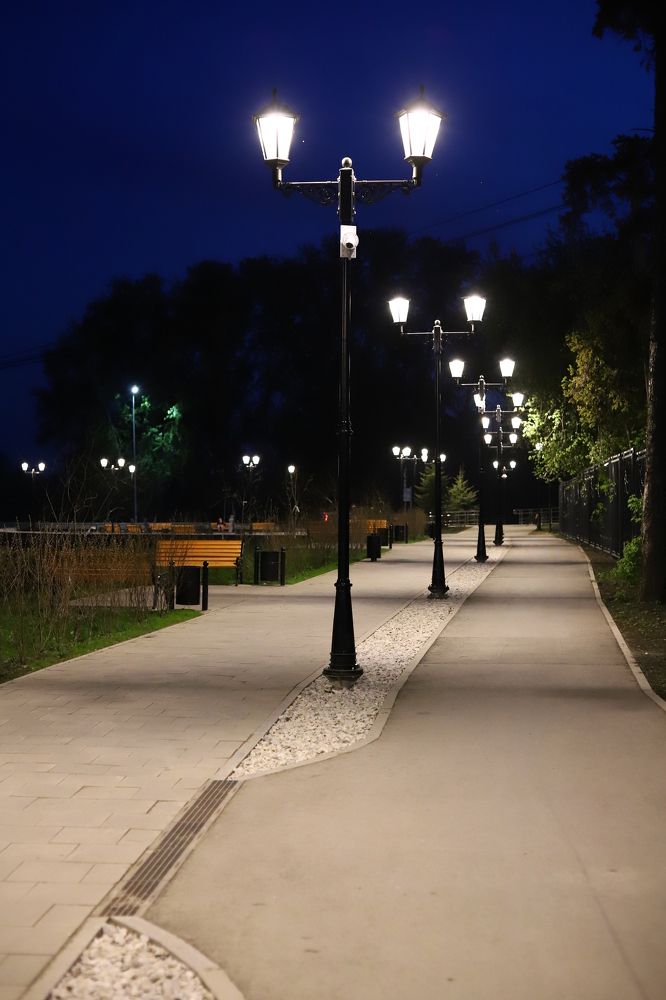 Фотография автора Светлана Цудзевич