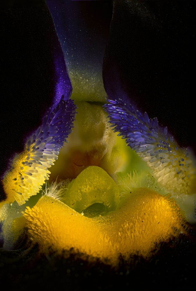 Photograph by Игорь Толкачев