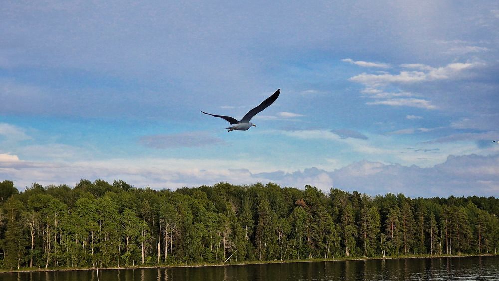 Photograph by Vera Vinogradova