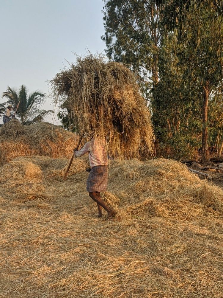 Photograph by Vijayakumar