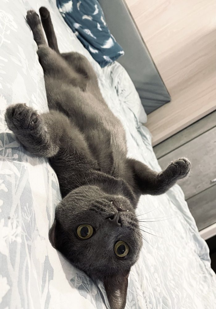 Фотография автора Татьяна