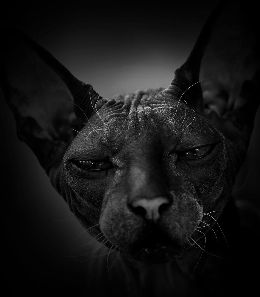 Photograph by Зоя Быкова