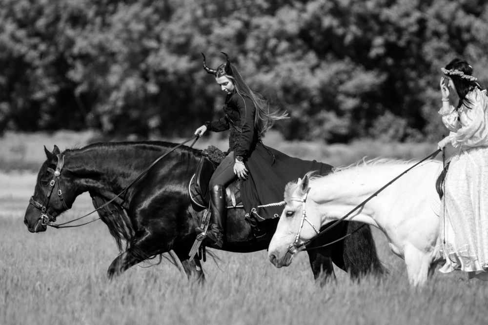 Photograph by Александр Перегудов