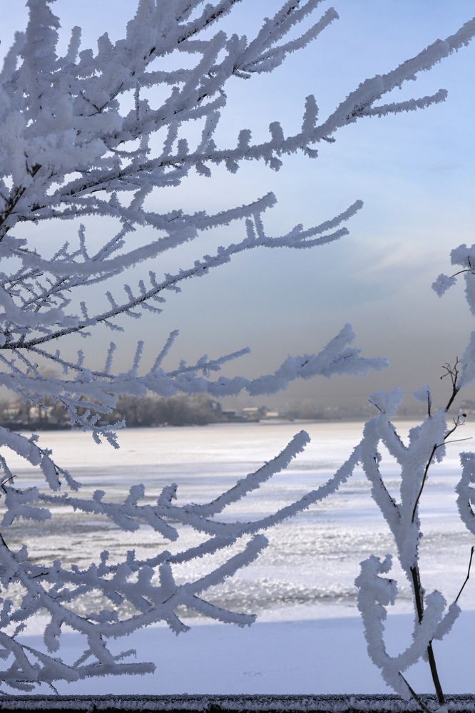 Фотография автора Светлана Цудзевич